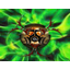 clanlogo