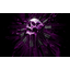 clanlogo