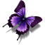 clanlogo