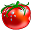 clanlogo
