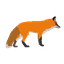 clanlogo