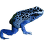 clanlogo