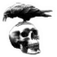 clanlogo