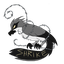 clanlogo