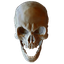 clanlogo