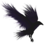 clanlogo