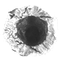 clanlogo