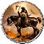 clanlogo
