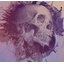 clanlogo