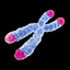 clanlogo