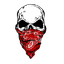 clanlogo