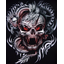 clanlogo