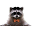 clanlogo