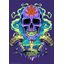 clanlogo