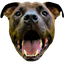 clanlogo
